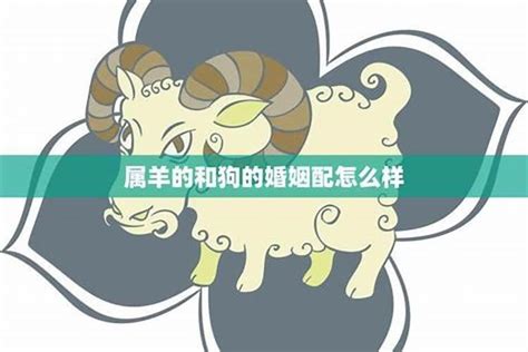 羊跟狗|属羊和属狗的相配吗 属羊和属狗的合得来吗